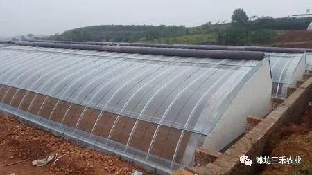 温室大棚建设各类型造价基础情况分析 大棚薄膜篇
