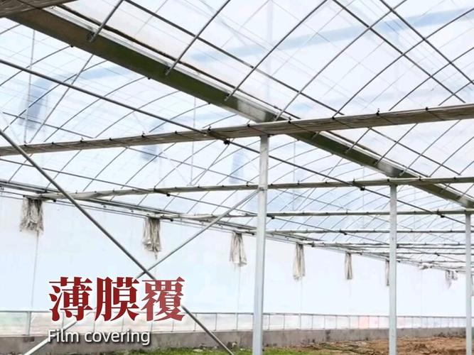 连栋薄膜温室凭什么火遍全国？
